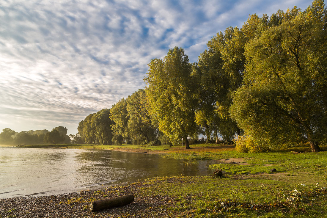 Standort Meerbusch